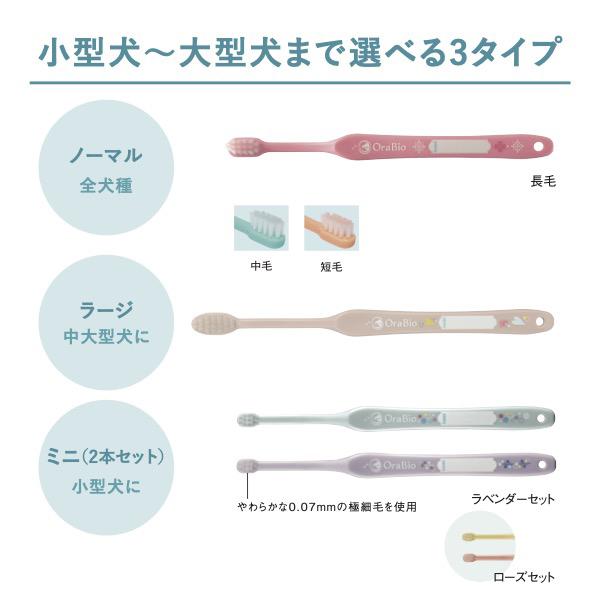 オーラバイオブラシ　ミニ 