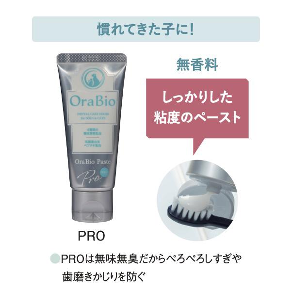 オーラバイオペースト　ＰＲＯ 