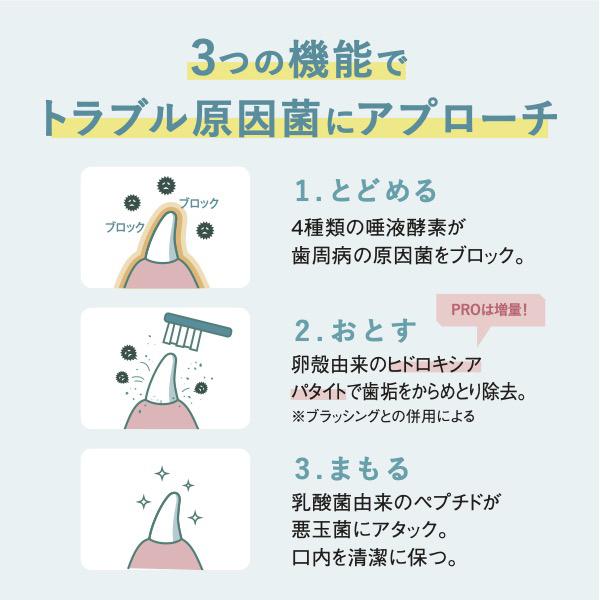 オーラバイオペースト　ＰＲＯ 