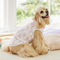 ヒートワン・ドリームベアタンク