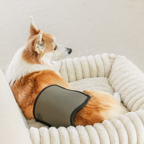 プロモサーモバックス Ｍサイズ着用