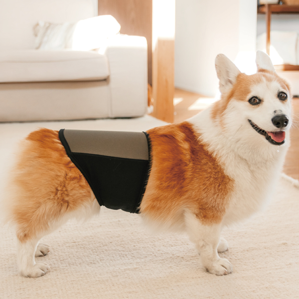 プロモサーモバックス Ｍサイズ着用