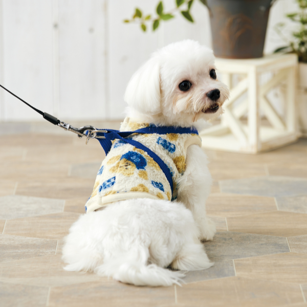 テラヌヌース　ハーネス ネイビー