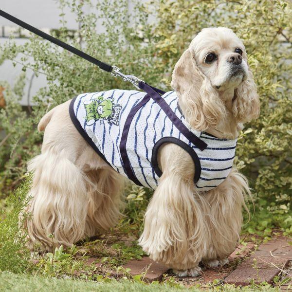 スーパークール×クール・Ｂペイントベアハーネス ネイビー