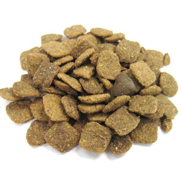 フォルツァ１０　エコーアクティブ 中粒