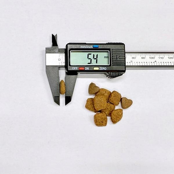 フォルツァ１０　エコーアクティブ 中粒 ※サイズは目安です