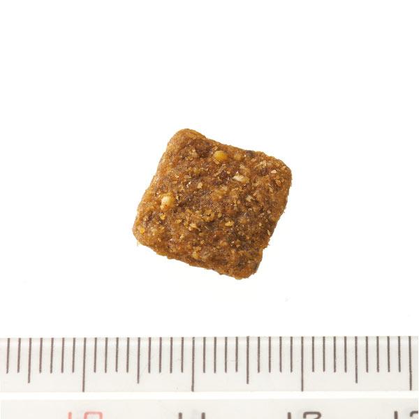 フォルツァ１０　デルモアクティブ 中粒