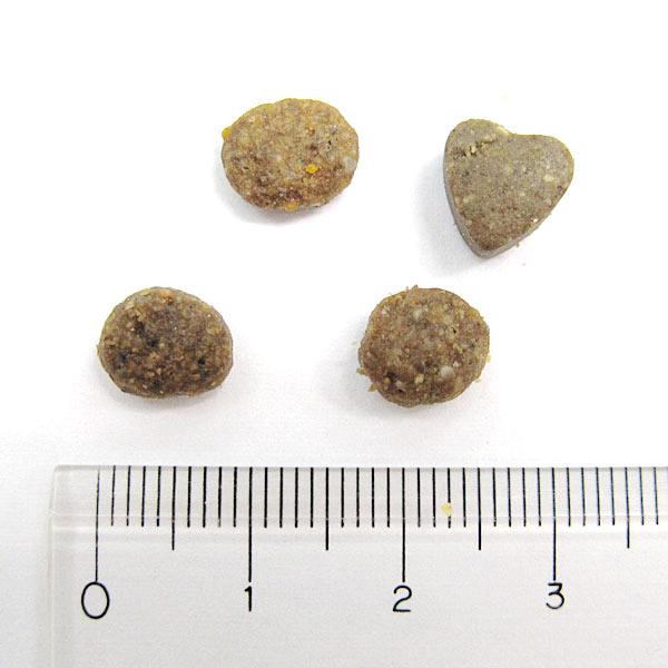 フォルツァ１０　リナールアクティブ 小粒