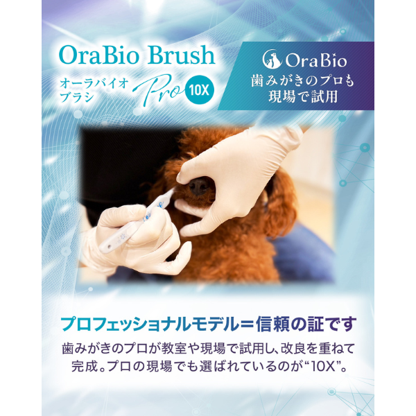オーラバイオブラシ PRO １０X 