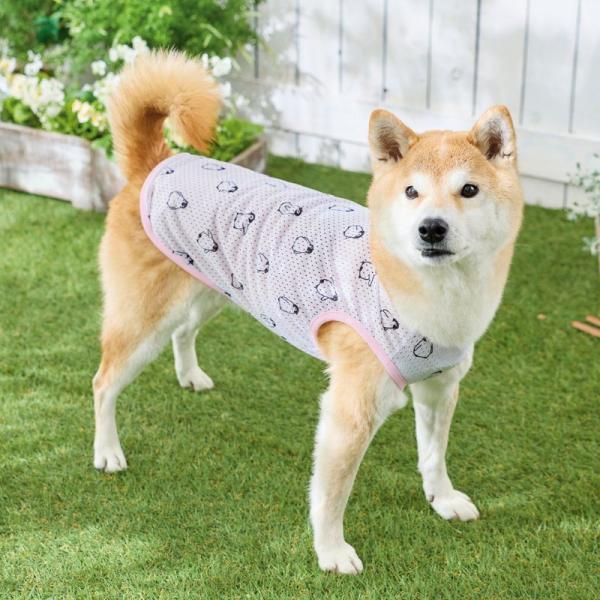 スーパークール×クール　ペンギンタンク ホワイト/3Lサイズを着用/モデルサイズ：バスト56㎝