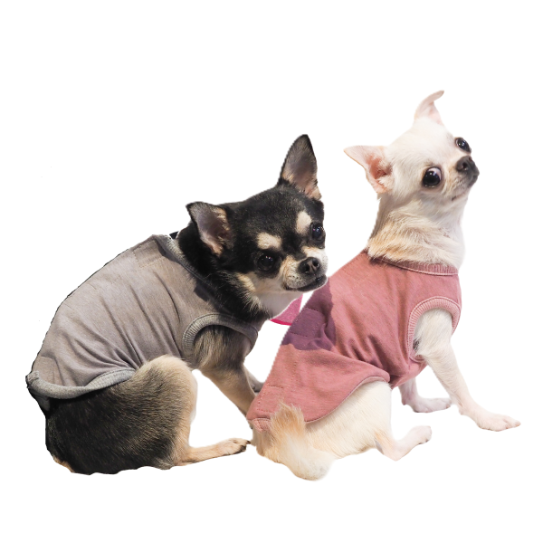 リカバリーわん　ベルクロタンク 