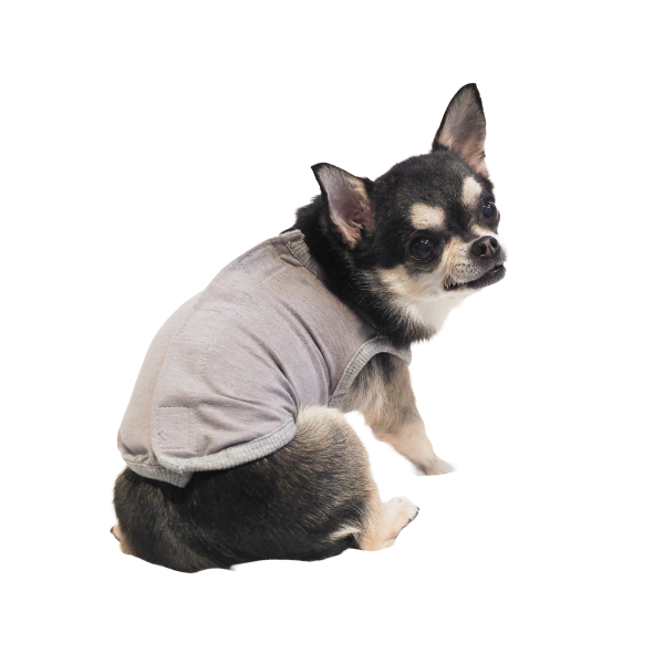 リカバリーわん　ベルクロタンク グレー