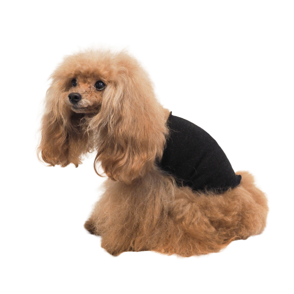 リカバリーわん　シルク腹巻 ブラック