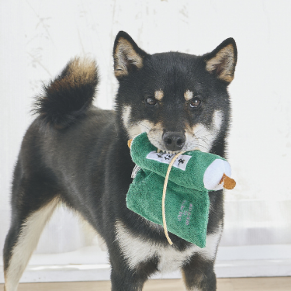 忍者入門セット 秘伝の書