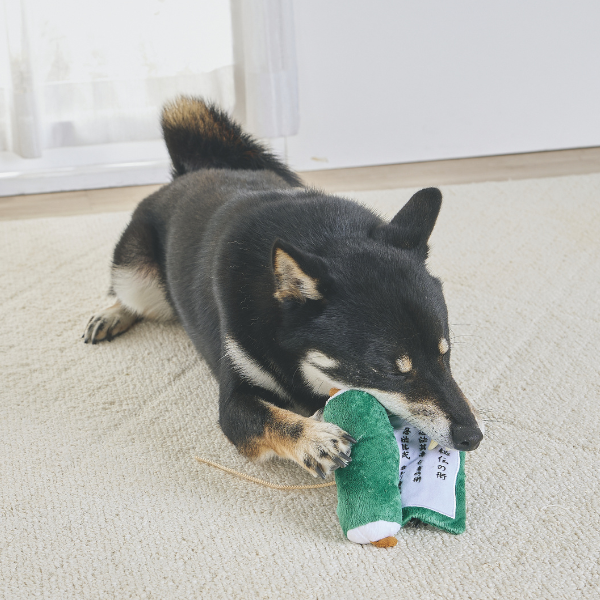 忍者入門セット 秘伝の書