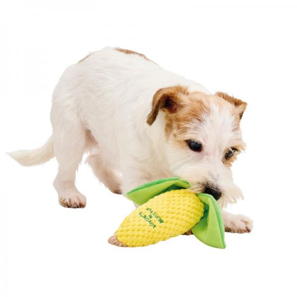 とうもろこし トイ 