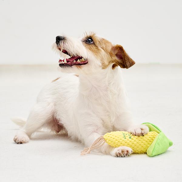 とうもろこし トイ 貸してあげようか？