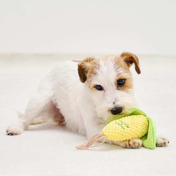 とうもろこし トイ どれどれ…