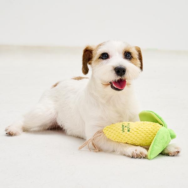 とうもろこし トイ 楽しいかもー！！