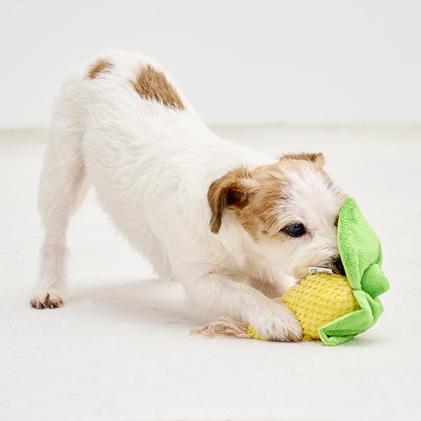 とうもろこし トイ 皮で前が見えないよー！