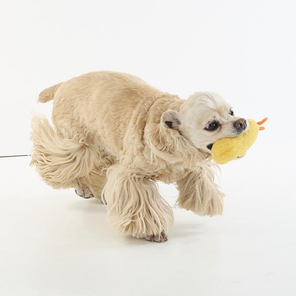 エビ天 トイ 海老天どろぼう①