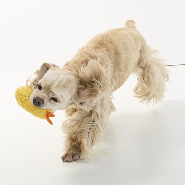 エビ天 トイ 海老天どろぼう②