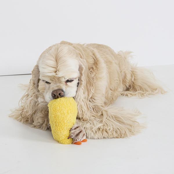 エビ天 トイ なんだこれ？？