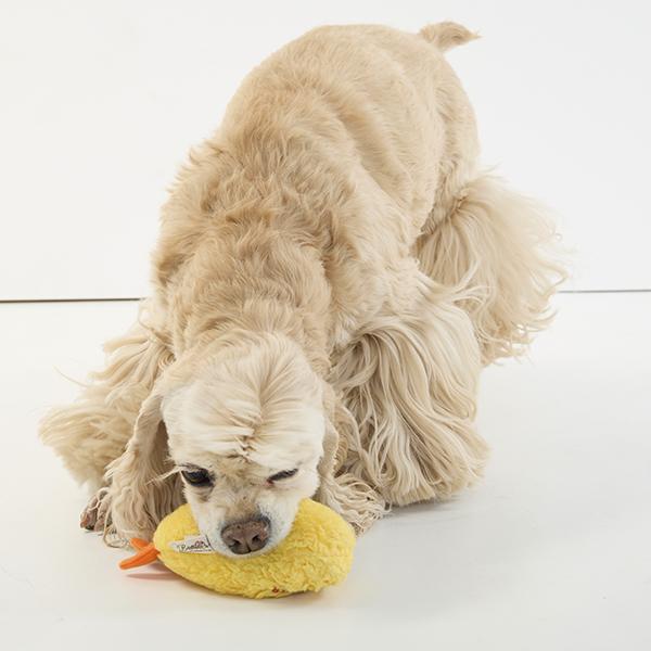 エビ天 トイ 誰にも渡したくなぁい！