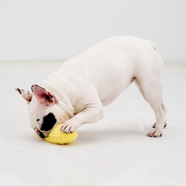 大エビ天 トイ 食べごたえー！