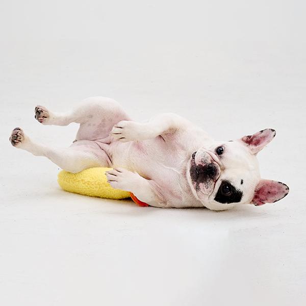 大エビ天 トイ おっとっと