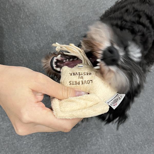 イカの一夜干し トイ がぶー！