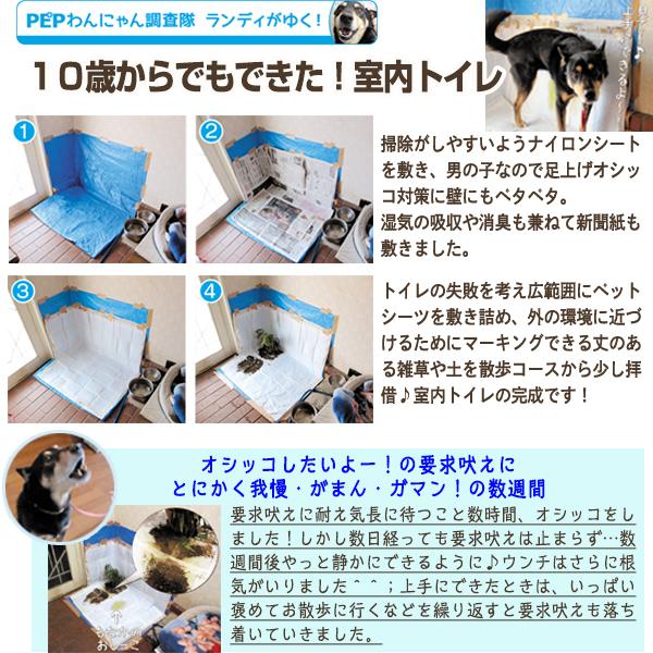 しつけるウォールトレー トイレトレー 犬用トイレ ペット用品の通販サイト ペピイ Peppy