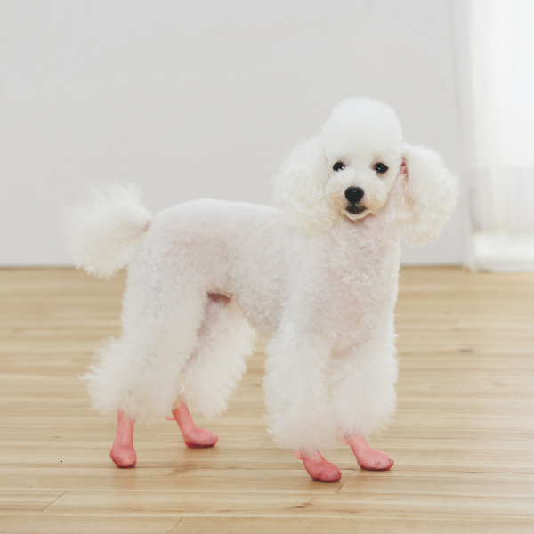 パウテクト（犬用オールシーズンブーツ） ３Ｓ・ピンク