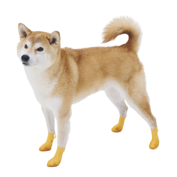 パウテクト（犬用オールシーズンブーツ） S・オレンジ／2セット使用