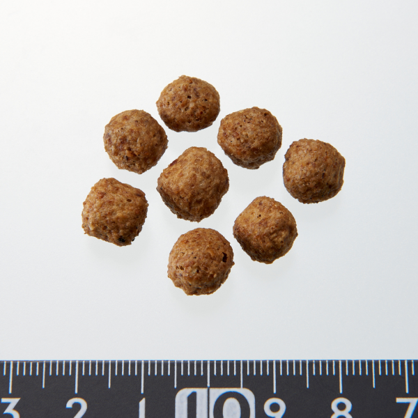 ウィムズィーズ 猫用 