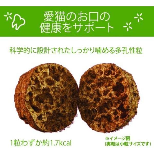ウィムズィーズ 猫用 