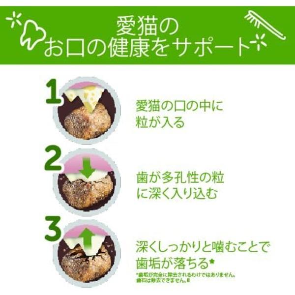 ウィムズィーズ 猫用 