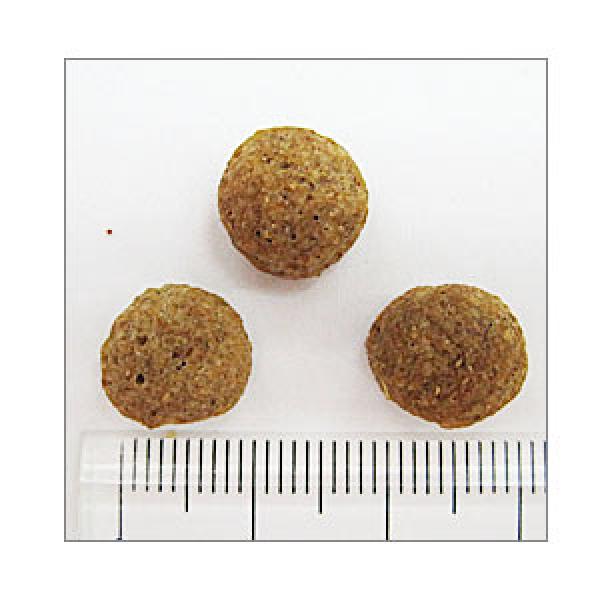 アボ・ダーム　ライト 