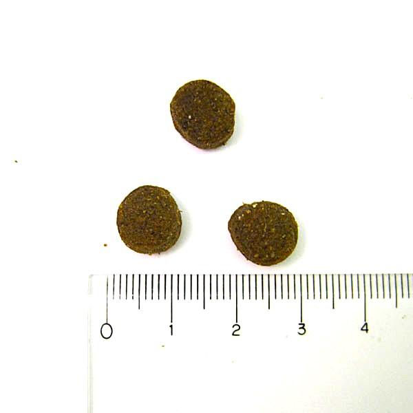 アボ・ダーム　ラム＆ライス 