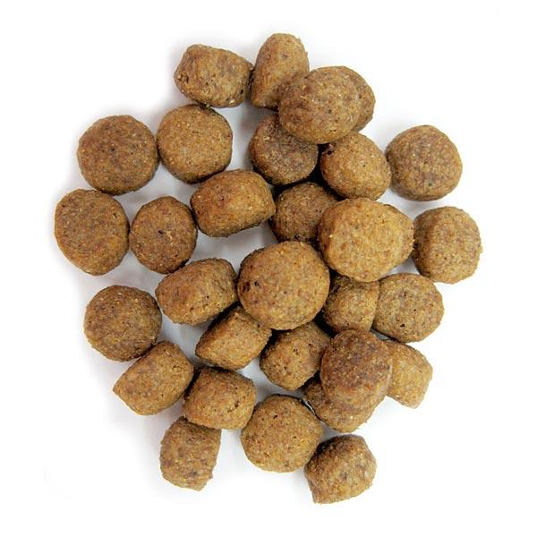 アボ・ダーム　シニア 