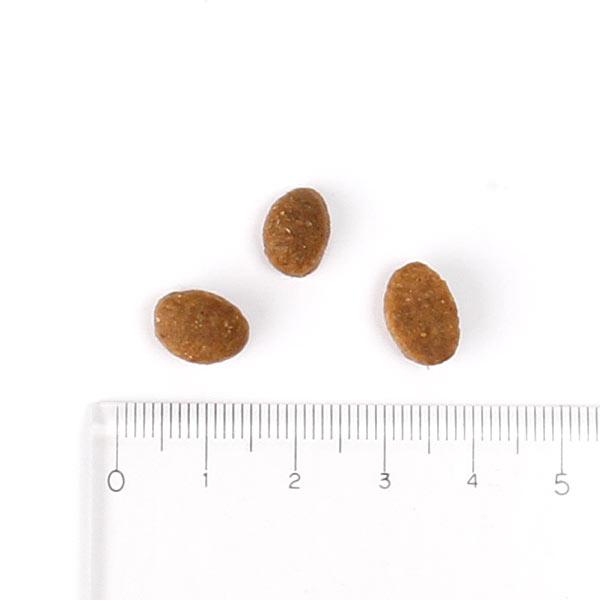 アボ・ダームキャット　チキン＆へリング 