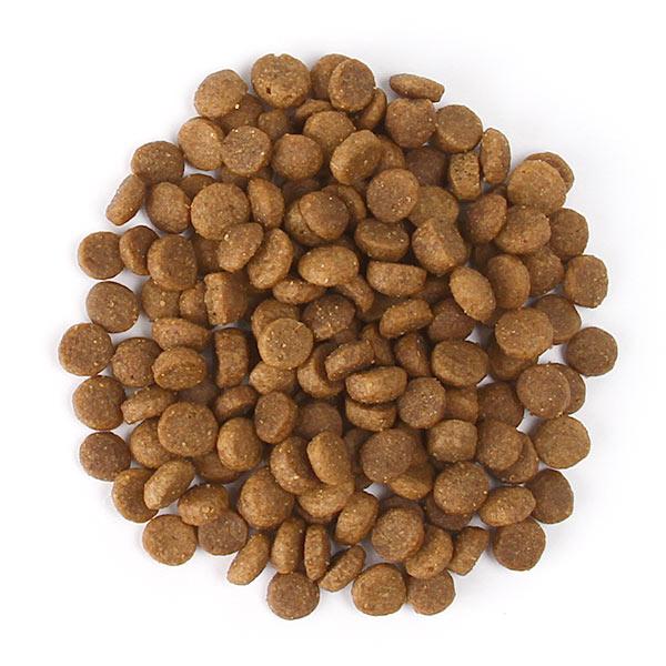 アボ・ダームキャット　ヘアーボール＆ライト 