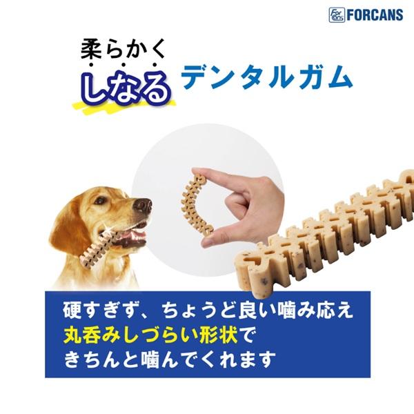 デンティ・スリーフェアリー 