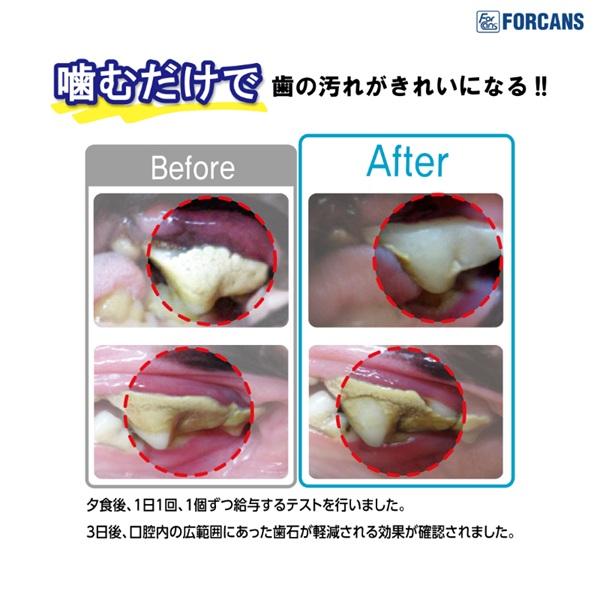 デンティ・スリーフェアリー徳用 