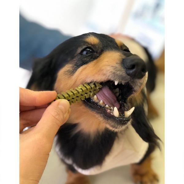 デンティ・スリーフェアリーＥＸ 