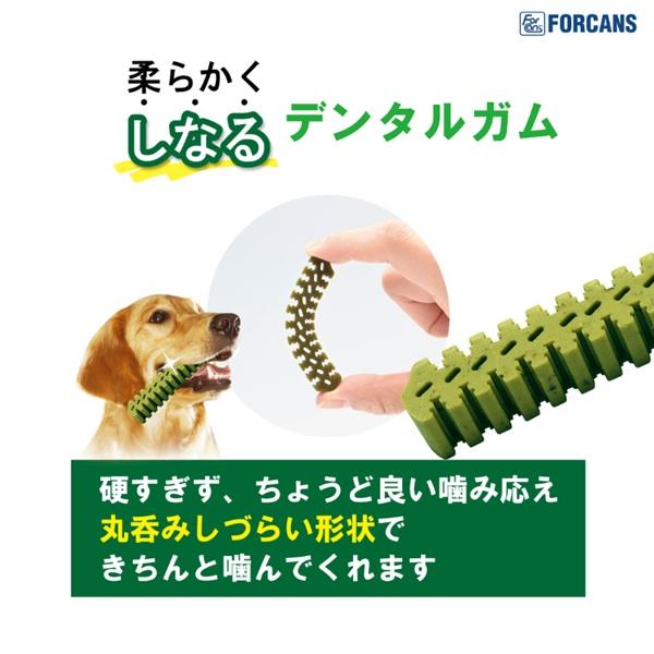 デンティ・スリーフェアリーＥＸ 