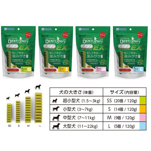 デンティ・スリーフェアリーＥＸ 