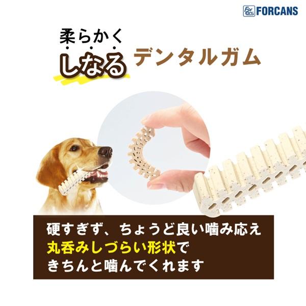 デンティ・スリーフェアリー シニア 