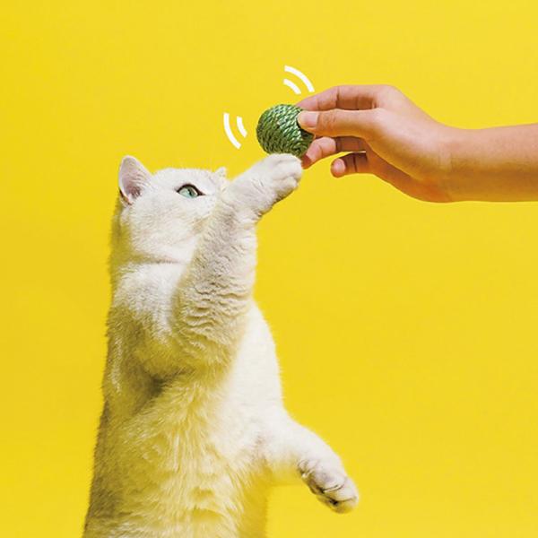キャットザイザルボールトイ グリーンピース 
