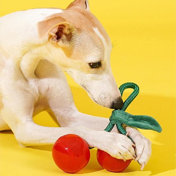 ドッグ チュウ ロープトイ チェリー
